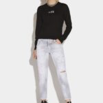 Dsquared2 Iconic Piranha Grey Denim Wash Cool Girl Cropped Jeans
